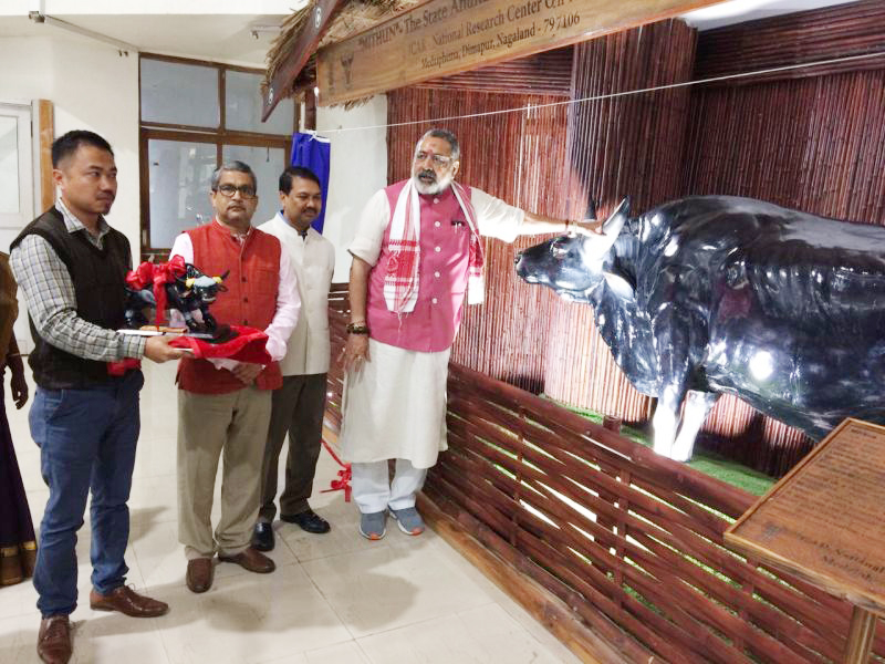 Mithun statue unveiled at Dimapur Airport